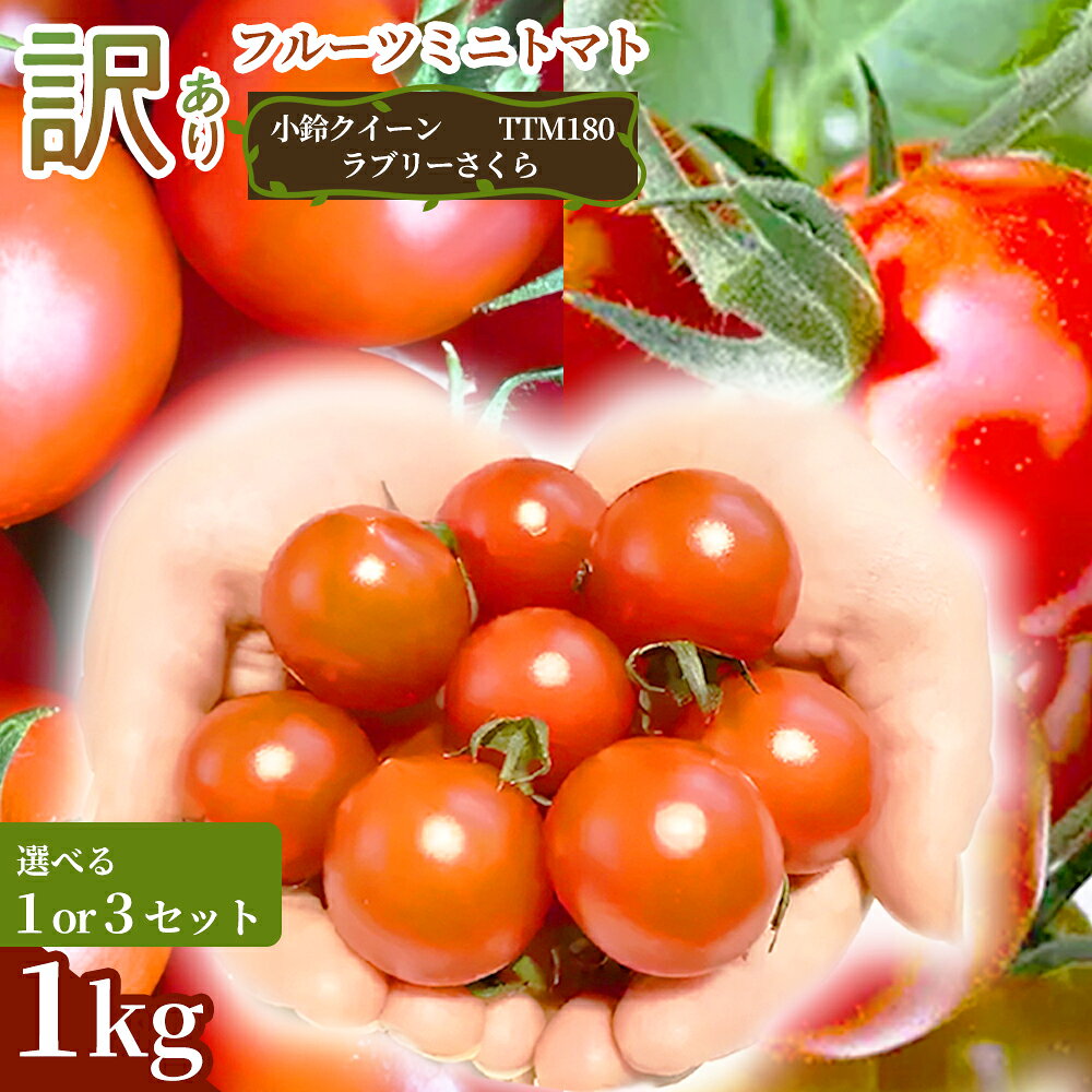 【ふるさと納税】《先行予約》お得に味わえる家庭用 訳ありフルーツミニトマト 1kg 1セット 3セット 野菜 規格外 お買い得 自宅用 たっぷり まとめ買い 大容量 新鮮 旬 食材 お取り寄せ 愛知県 豊橋市
