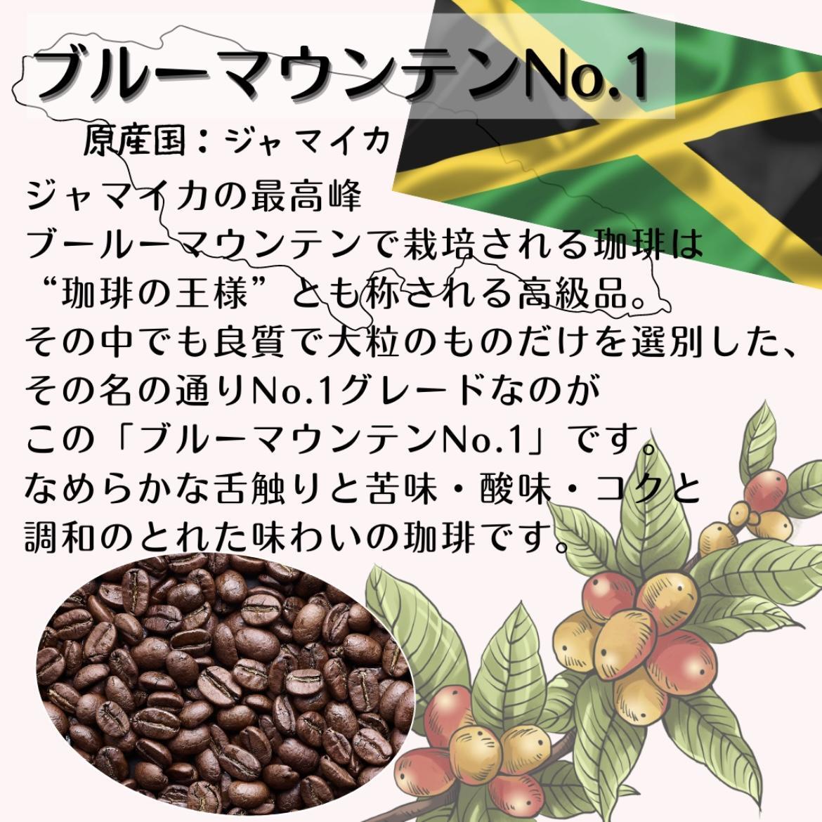 自家焙煎 プレミアム珈琲豆 3種セット（挽き）（3か月連続お届け）