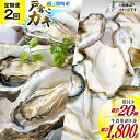 【ふるさと納税】【期間限定発送】2回 定期便 牡蠣 生食 南三陸町産 戸倉っこカキ 300g×3本 計900g 殻付き牡蠣 10個 [宮城県漁業協同組合志津川支所 宮城県 南三陸町 30an0005] 生カキ 生食用 剥き身 かき カキ 生ガキ むき身 むき 殻付