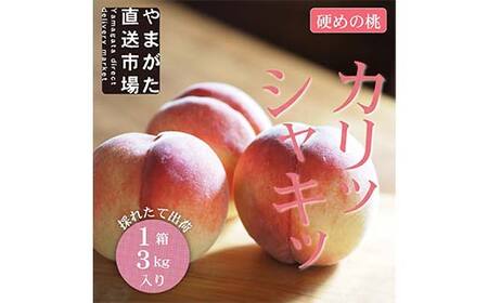【先行受付（令和7年度発送）】山形もぎたて白桃『硬めの桃』品種おまかせ3kg ギフト箱入り FSY-2038