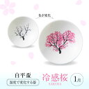 【ふるさと納税】【美濃焼】 温度で変化する酒器 白平盃 『冷感桜』 多治見市 / 丸モ高木陶器[TBA251]