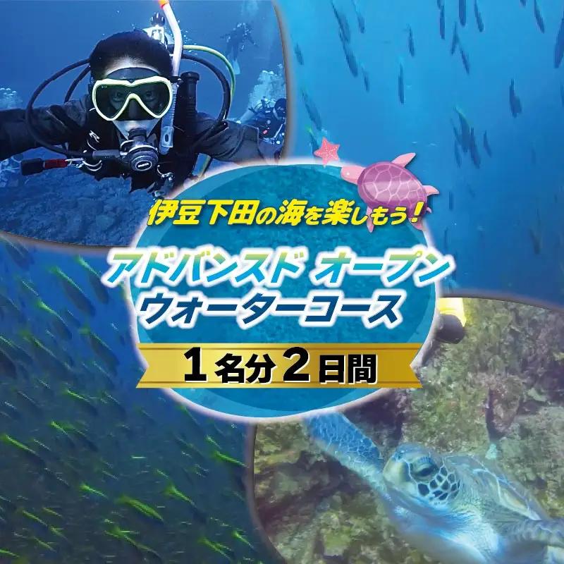 体験 チケット ダイビング アドバンスド オープン ウォーターコース 2日間 ダイビング