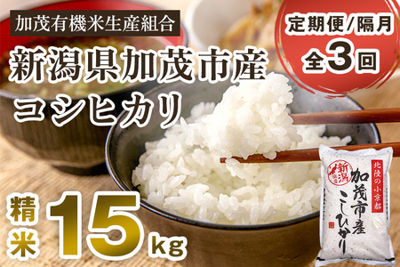 【令和7年産新米先行予約】【定期便3回隔月お届け】新潟県加茂市産コシヒカリ 精米15kg（5kg×3）《10月中旬から順次出荷》白米