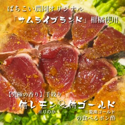 ふるさと納税 愛南町 鰹のタタキ 専用 ポン酢醤油 200ml 2本セット 手作り 究極 自家製 かつお ばちこい |  | 01