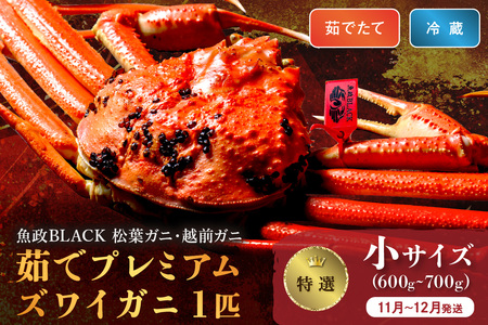カニ ボイルガニ ／【蟹の匠 魚政】茹で　プレミアムズワイガニ 魚政BLACK（松葉ガニ・越前ガニ）特撰 小サイズ（600～700g） 1匹(11月～12月発送) カニ 蟹 ズワイガニ ズワイ蟹 ブランド蟹 松葉蟹 松葉ガニ 茹で松葉ガニ ボイル松葉ガニ タグ付き 越前蟹 越前ガニ カニ味噌 蟹味噌