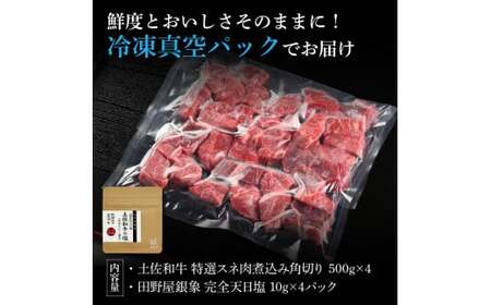 土佐和牛 特選スネ肉煮込み角切り500g×4 田野屋銀象完全天日塩4P付き 2kg 2キロ 長期熟成肉 田野屋銀象 完全天日塩付き スネ肉 煮込み 角切り 肉 お肉【株式会社LATERAL】 [BQA