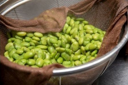 丘の恵みびえい　豆ごころ3パック | 大豆 北海道 大豆  [008-23]