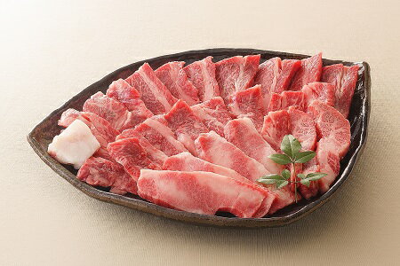 【ふるさと納税】【レビューキャンペーン対象商品】飛騨牛 バラ カルビ 焼肉 用 約500g