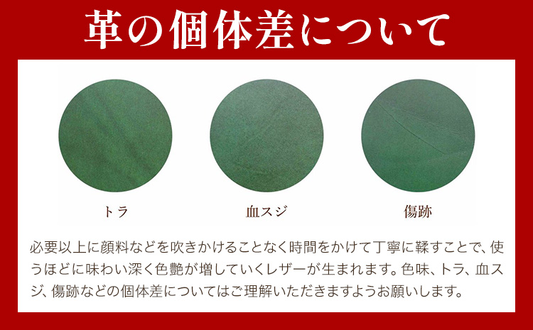 キーケース グリーン サイズ M SIRUHA 《30日以内に出荷予定(土日祝除く)》岡山県 笠岡市 鍵 ケース ブッテーロ 皮革 送料無料