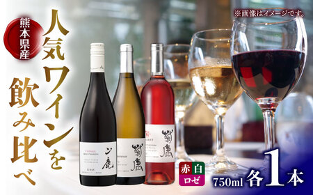 菊鹿シャルドネ＆菊鹿カベルネクレーレ2023＆山鹿マスカットベーリーA2024 ワイン3本セット 化粧箱付【菊鹿ワイナリー】[ZFB007]