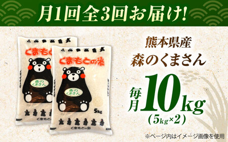令和7年産3回定期便森のくまさん白米10kg(5kg×2) 白米定期便ZBI038