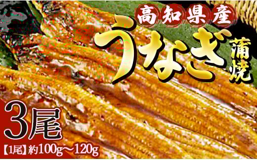 
            高知県産養殖うなぎ蒲焼 100～120g 3尾セット ss-0025
          