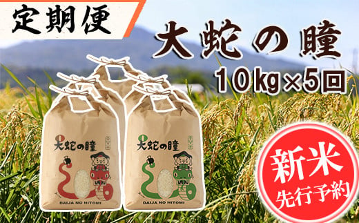 【令和6年産】<定期便>大蛇の瞳 白米 10kg×5回 精米 熊本県 南関町産 単一原料米 ヒノヒカリ 産地直送 コメ お米 ごはん