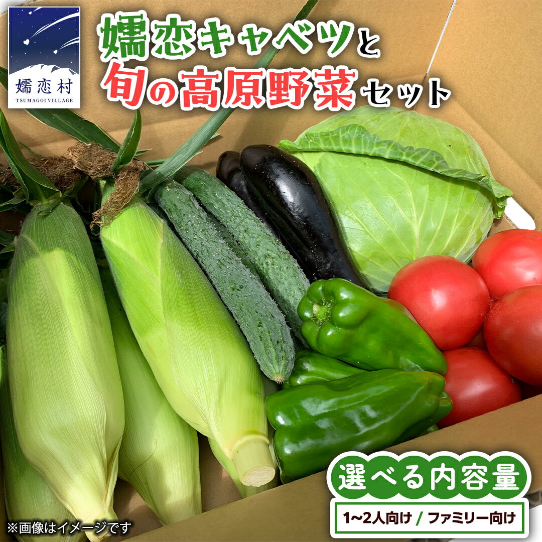 【ふるさと納税】嬬恋 キャベツ と旬の 高原 野菜 セット 選べる内容量 【9/10入金確認分まで】 旬の野菜 先行予約 きゃべつ 群馬 419 嬬恋キャベツ 産地直送 詰め合わせ アソート