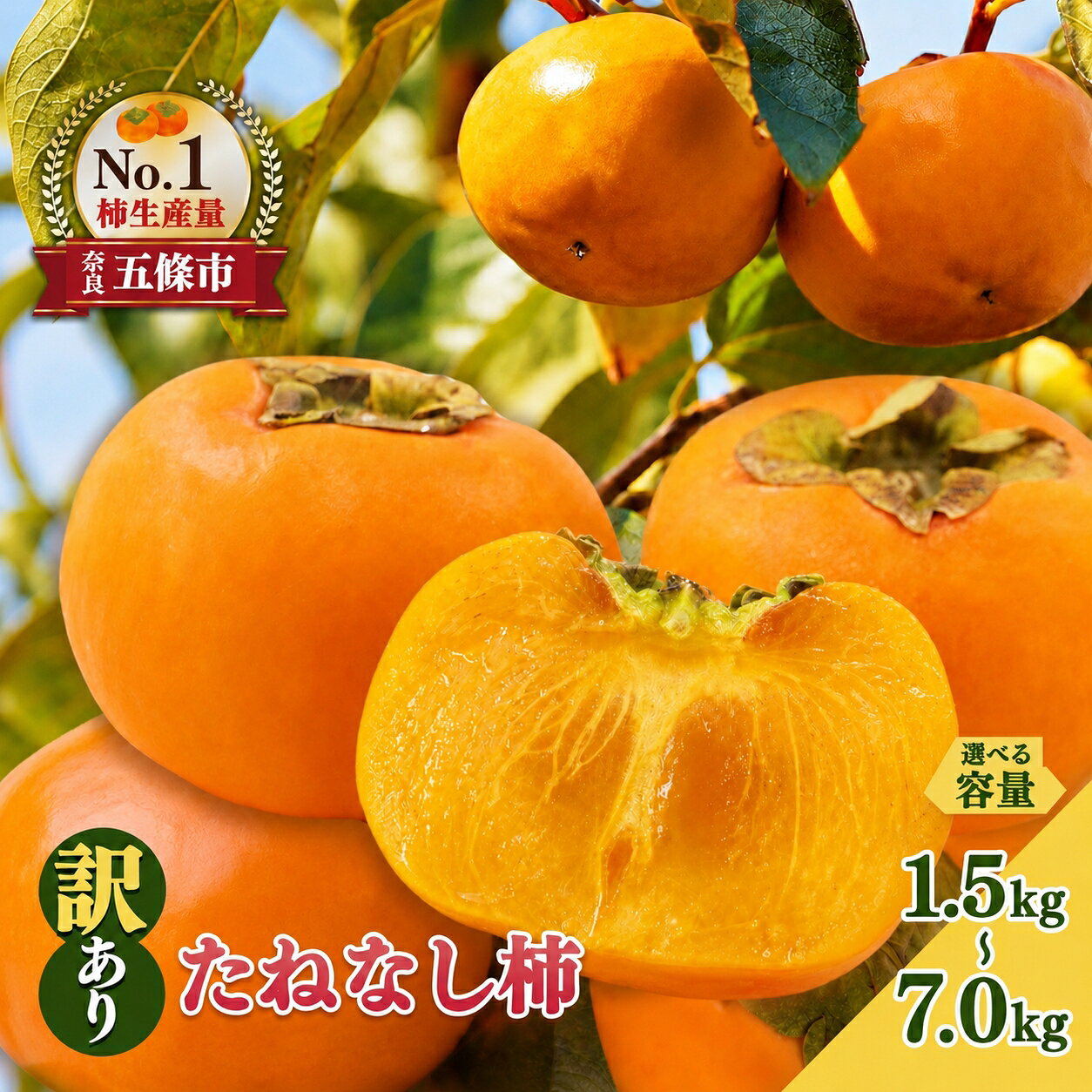 【ふるさと納税】 訳あり たねなし 柿 約 1.5kg ～ 約 7kg | 柿 かき カキ 果物 フルーツ くだもの 訳あり 家庭用 ご家庭用 お歳暮 秋 味覚 奈良県 五條市