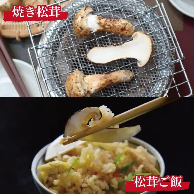 先行予約 国産松茸 約1kg 数量限定 香り高く希少【和歌山県高野町産 松茸】