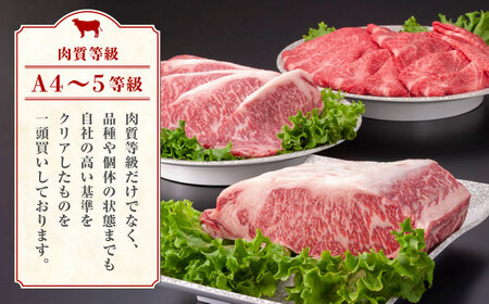 【6回定期便】熊本県産 黒毛和牛 ロース 食べ比べ セット（ステーキ ロース スライス） 約800g 【有限会社 九州食肉産業】 ロース ステーキ A4 A5 国産 黒毛和牛 九州産 熊本県産  黒毛