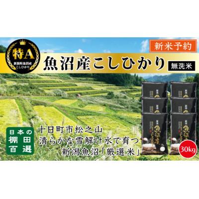ふるさと納税 十日町市 【令和7年産新米先行予約】&lt;無洗米&gt; 日本棚田百選のお米 天空の里・魚沼産こしひかり　5kg×6
