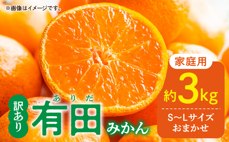DZ6203_家庭用 有田みかん 和歌山県産 S～Lサイズ 大きさお任せ 約3kg