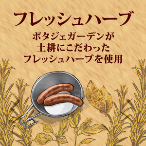 ハーブ ウインナー 20本 800g ローズマリー バジル 化粧箱入り 豚肉 おつまみ 豚肉 三元豚  ポタジェガーデン