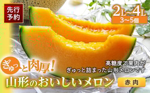 《先行予約 2025年度発送》ぎゅっと肉厚！山形のおいしいメロン【赤肉】  赤肉メロン メロン 赤肉 デザート フルーツ 果物 くだもの 果実 食品 山形県 FSY-0117