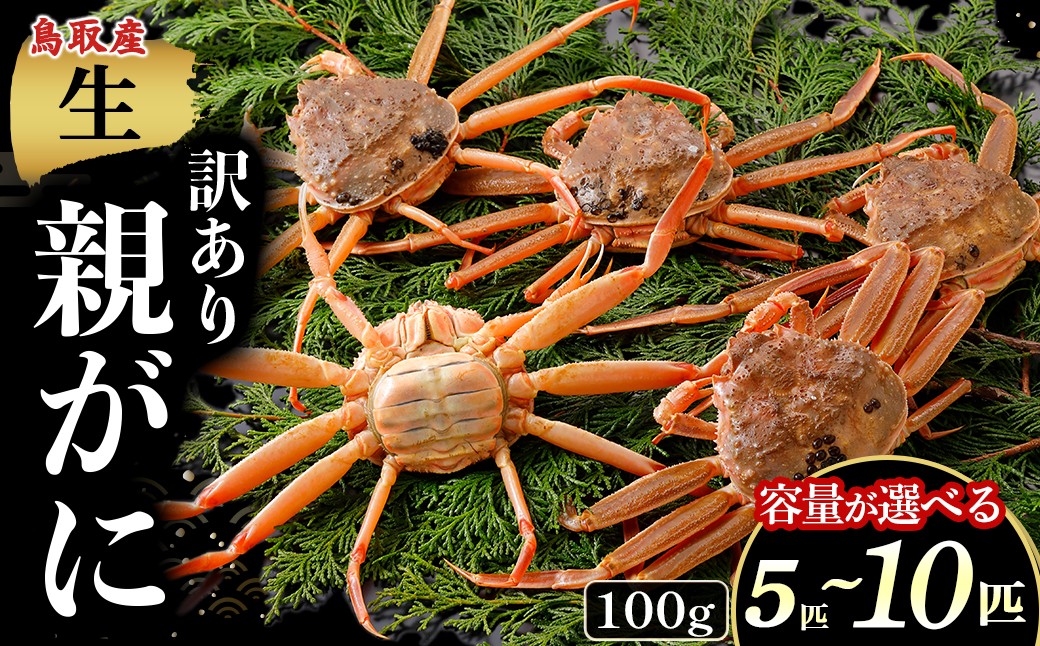 
                  【年内発送】【訳あり】【生親がに 100g 5〜10匹】選べる容量！ 年内発送！カニ 親がに 親ガニ ズワイガニ カニの甲羅 カニ味噌 内子 外子 蟹身 かにみそ 海鮮 国産 松葉ガニ 生活応援 大人気  期間限定 日本海 せこがに せいこがに
                