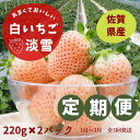 【ふるさと納税】【定期便3回】希少価値 佐賀県産 いちご淡雪 1~3月発送:B395-008