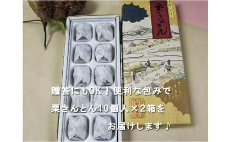 人気商品!! 中津川銘菓：栗きんとん20個（10個入×2箱）[秋季限定]【2025年1月お届け】 F4N-1046