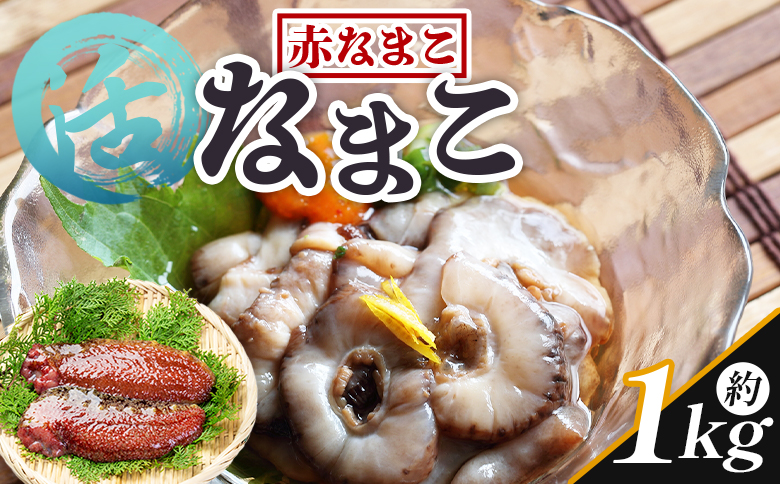 活ナマコ 1kg 赤ナマコ - 国産 産地直送 赤なまこ なまこ ナマコ 海鼠 海産物 海鮮 魚介類 刺身 刺し身 炒め物 塩辛 このわた えび蔵 高知県 香南市 冷蔵 eb-0012