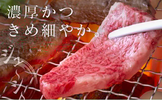 ◆宮崎牛肩ロース焼肉(400g1パック)