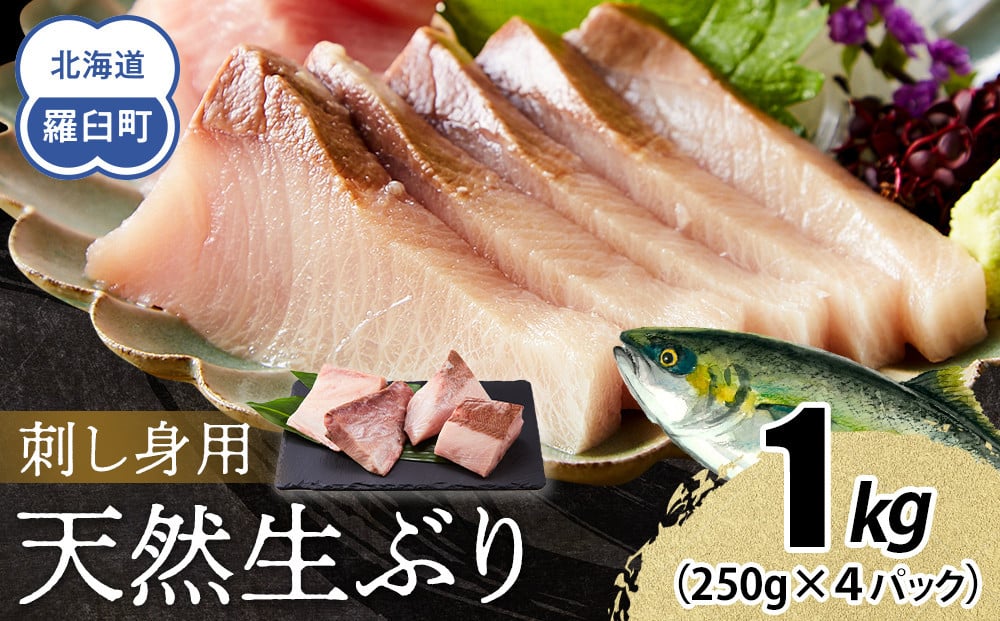 
            【選べる配送月】北海道 知床羅臼産 天然ぶり刺身 1kg (250g×4パック) 魚 海産物 魚介 魚介類 ブリ 鰤 刺身 ご飯のお供 冷凍 生産者 支援 応援
          