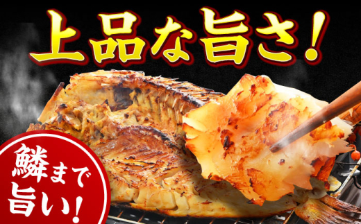 【加福鮮魚】若狭ぐじ 味噌漬け開き 1尾 800g   小浜市 / 加福鮮魚 【配送不可地域：北海道・沖縄・離島】  [BFBC002] 