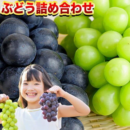【ふるさと納税】ぶどう 詰め合わせ 約2kg(3~4房) 2房 青空市きらり 岡山県 矢掛町 葡萄 果物 スイーツ フルーツ デザート シャインマスカット 旬《9月上旬-11月上旬頃出荷》