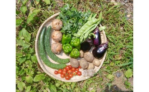 自然栽培の野菜詰め合わせ