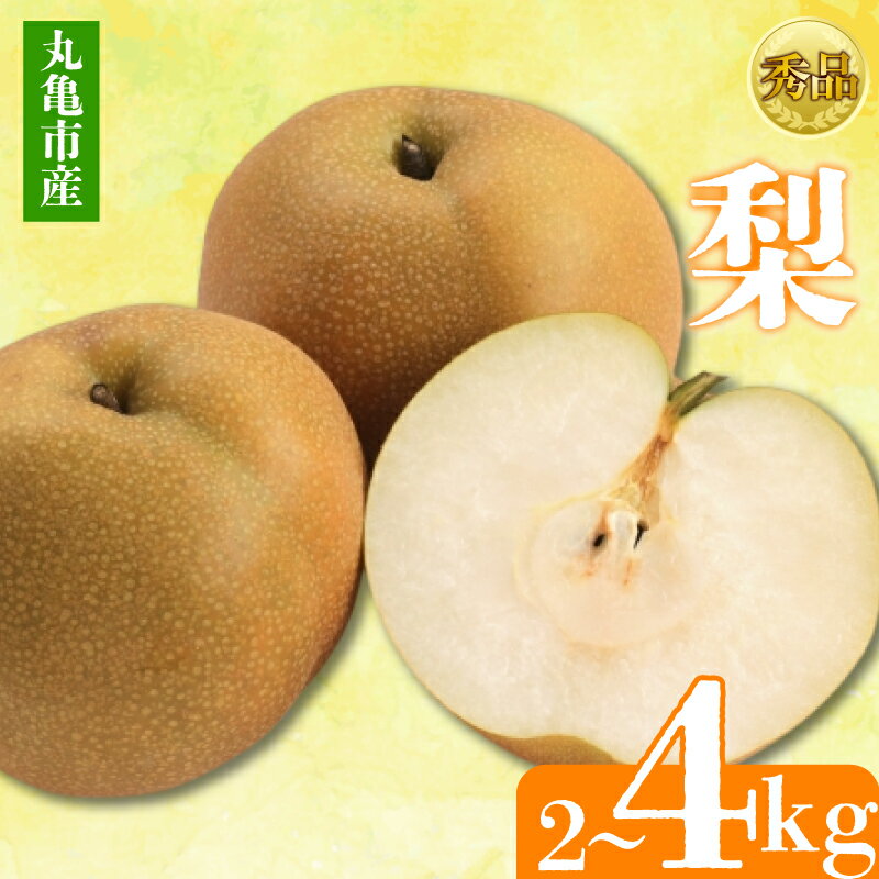 【ふるさと納税】 【2025年8月上旬より順次発送】【秀品】梨 約2kg-約4kg 丸亀産 ナシ 果物 フルーツ 果肉 果汁 季節 甘い デザート ゼリー ジュース ふるさと納税フルーツ 香川県 丸亀市