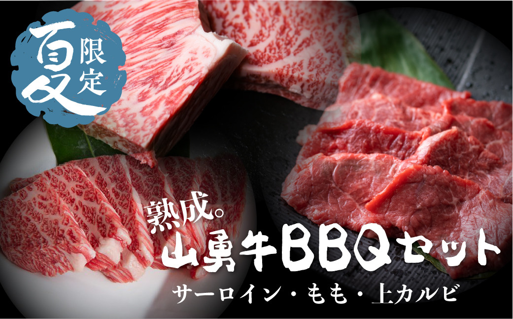 
《夏季限定》飛騨牛BBQセット サーロイン 焼肉用 200g もも 焼肉用 300g 上カルビ 焼肉用 300g セット バーベキュー 牛肉 和牛 先着200名様限定箸付
