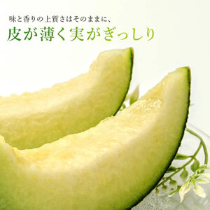 2026年先行予約【イバラキングメロン】＼生産量日本一！／茨城県鉾田市産 イバラキング メロン めろん 3玉～5玉｜方波見農園 《安心安全栽培》上品な甘さ 絶品 産地直送 青肉 高級 おすすめ 人気 