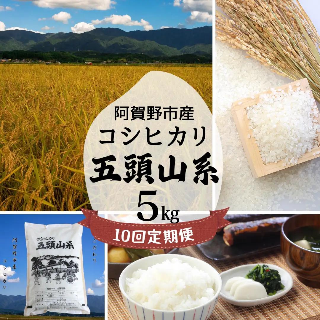 【令和7年産】【10回定期便】「米屋のこだわり阿賀野市産」コシヒカリ 5kg×10回 新潟県 米 こめ コメ 白米 精米 1E23167