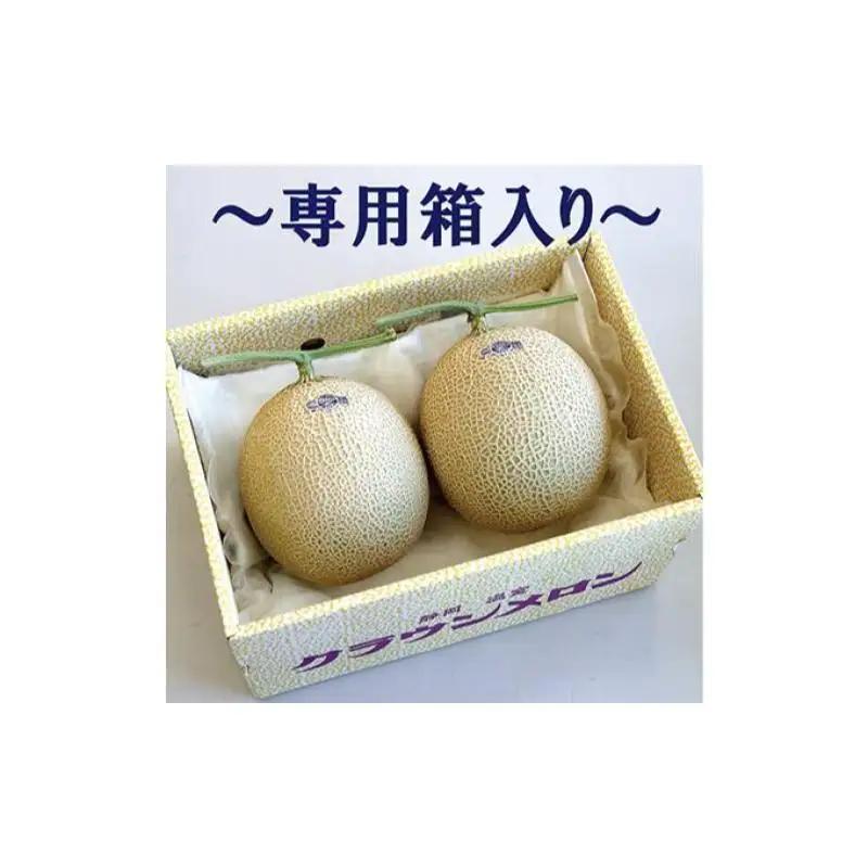 メロン 12ヶ月 定期便 クラウン 規格外 特大玉 2玉 メロン