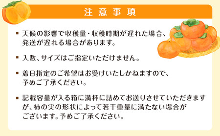 【2025年11月上旬以降発送】◆先行予約◆和歌山県産 富有柿 ＜ご家庭用＞ 約3kg 満杯詰め