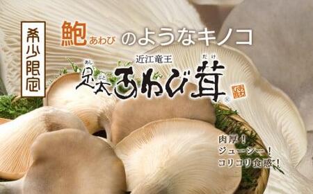 特選 竜王 足太あわび茸  生  1kg きのこ 希少 足太あわび茸 きのこ キノコ 国産 きのこ 食材 健康 きのこ 農薬不使用 滋賀県 きのこ 竜王町 きのこ 送料無料 贈り物 ギフト 産地直送 
