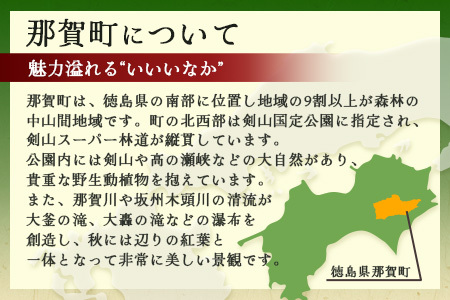 【返礼品なしの寄附】徳島県那賀町 1口：50,000円 ［徳島県 徳島 那賀町 那賀 寄附 おうえん 応援 しえん 支援 応援したい おうえん寄付金 応援寄付金  寄付のみ 返礼品なし 返礼品なしの寄