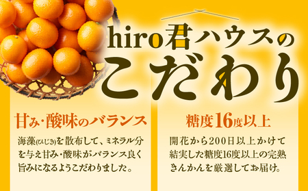 先行予約≪数量限定≫hiro君ハウスの『完熟きんかん(計1kg)』化粧箱入り フルーツ 果物 金柑 国産_T022-002