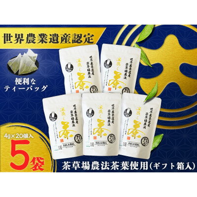 【ふるさと納税】深蒸し掛川茶TB「茶草場のしずく」(4g×20個)×5袋セット【配送不可地域：離島・沖縄県】【1652805】