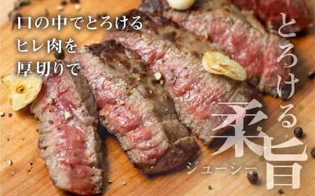 【2026年3月発送】飛騨牛 ヒレブロック500g ヒレ肉