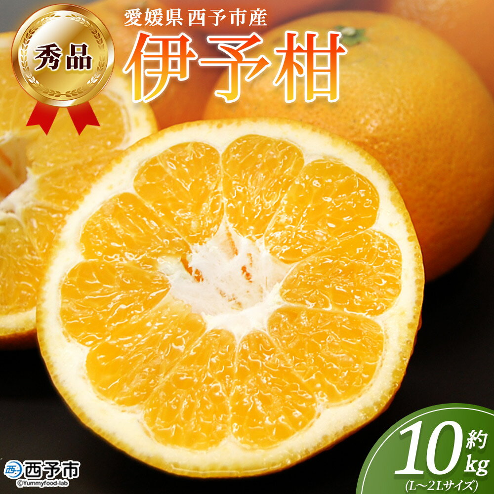【ふるさと納税】＜秀品 伊予柑 (L～2Lサイズ) 約10kg＞蜜柑 ミカン みかん 果物 フルーツ 柑橘 いよかん 宮内伊予柑 西宇和 果汁 ジューシー 果肉 国産 愛媛県産 西予市産 ギフト 贈答用 特産品 丸二青果 愛媛県 西予市【常温】『2026年1月～3月に順次出荷予定』