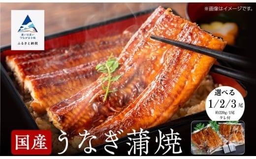 
            【真空パック】国産うなぎ蒲焼 【選べる 1尾 / 2尾 / 3尾】 鰻かば焼き タレつき 関西風 | 小松市 石川県 【株式会社竹本商店】
          