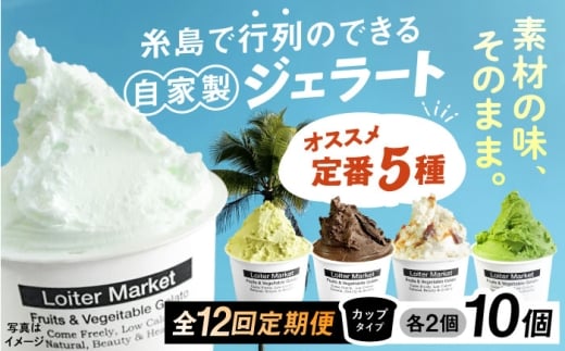 【全12回定期便】行列のできる アイスクリーム 屋 ジェラート 10個（定番5種×各2個） アイス 食べ比べ ギフト スイーツ プレゼント 糸島 / LoiterMarket ロイターマーケット [AGD019]
