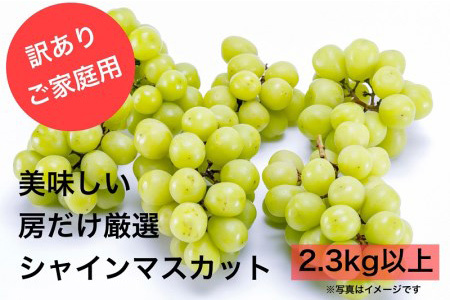 【2025年分発送】 訳あり ご家庭用 シャインマスカット 3房以上 2.3kg 先行予約 先行 予約 山梨県産 産地直送 フルーツ 果物 くだもの ぶどう ブドウ 葡萄 シャイン シャインマスカット 新鮮 人気 おすすめ 国産 贈答 ギフト お取り寄せ わけあり ワケアリ 新鮮 甘い 皮ごと 山梨 甲斐市 BI-1