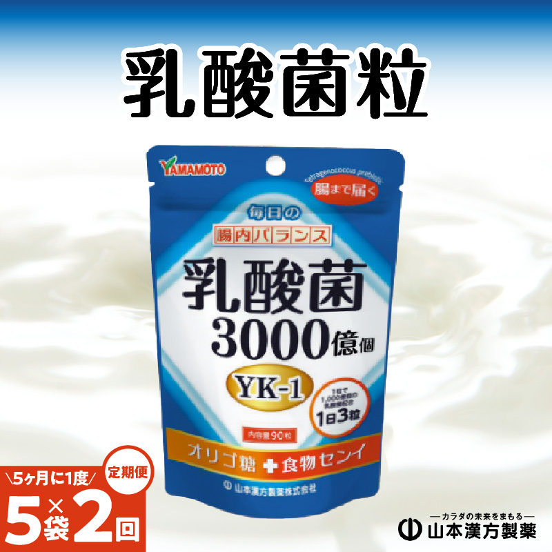 ＜5ヶ月に1度,2回送付＞乳酸菌粒　山本漢方　定期便